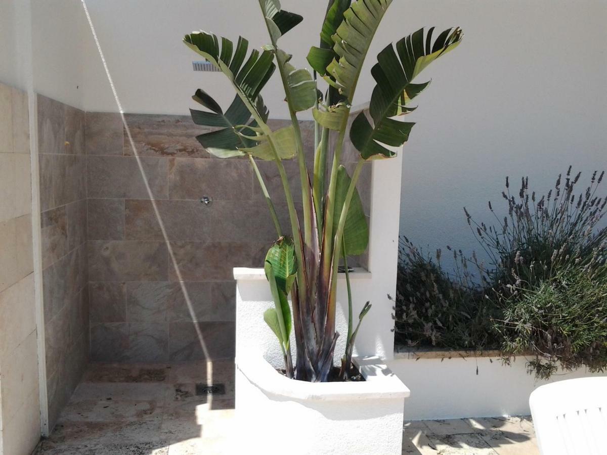 Appartement Apartamento Sol- Fanals à Lloret de Mar Extérieur photo
